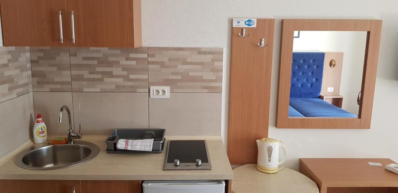 Апартаменты Villa Pedja Zec Exclusive 3+ Будва-27