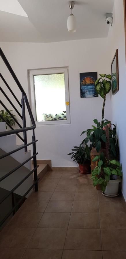 Апартаменты Villa Pedja Zec Exclusive 3+ Будва-32